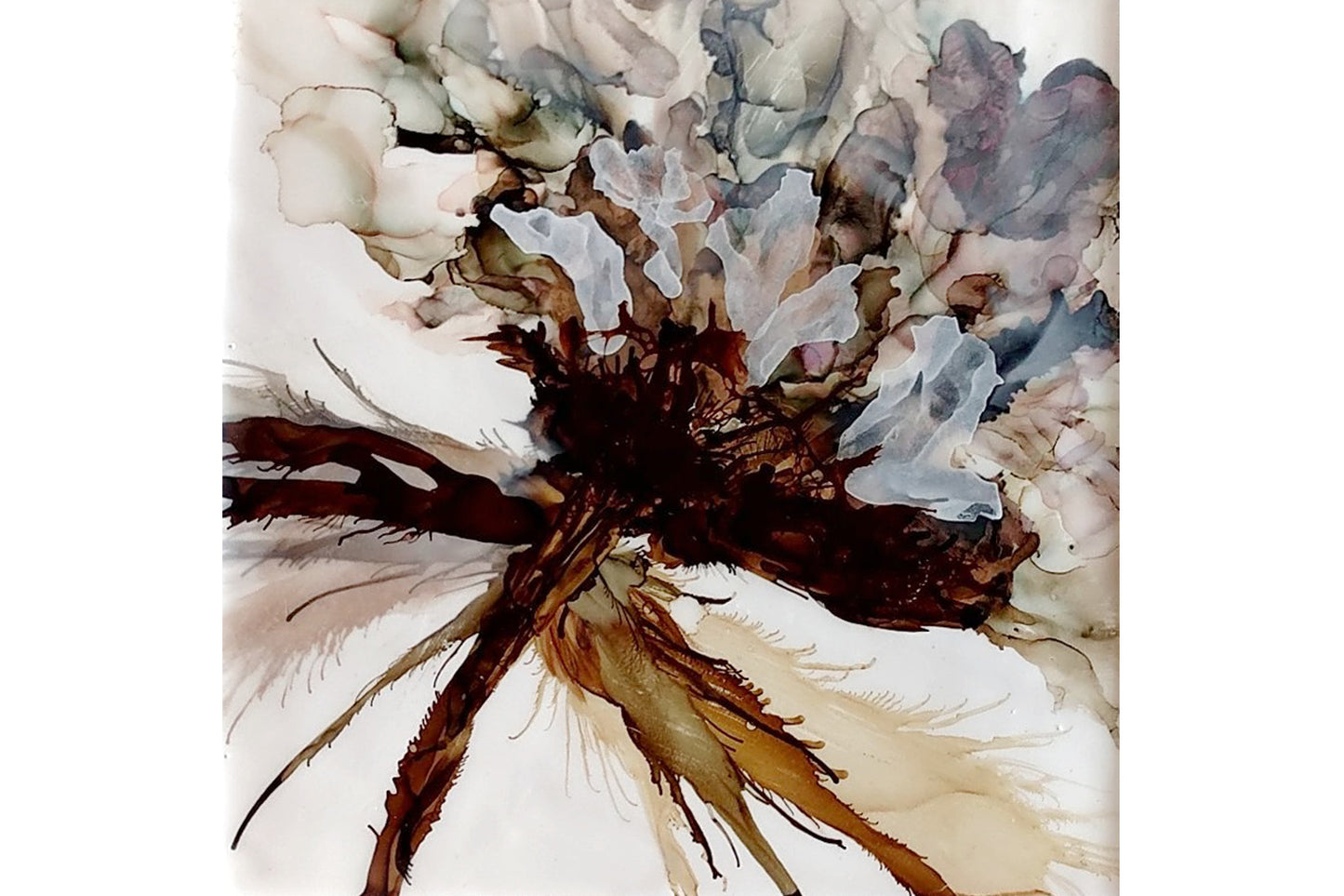 Sold- 'GROW WILD'