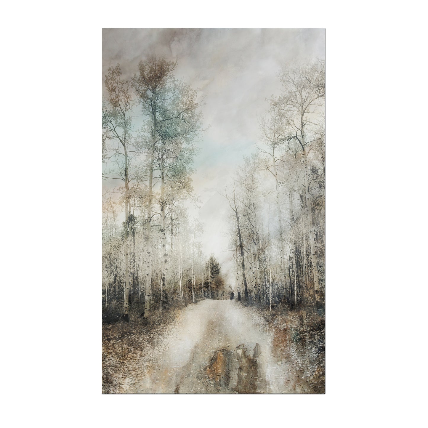 print or canvas of aspen trees and along a country road